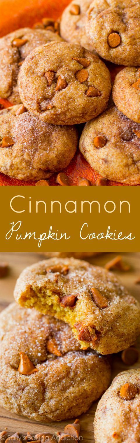 Cinnamon Chip Pumpkin Cookies