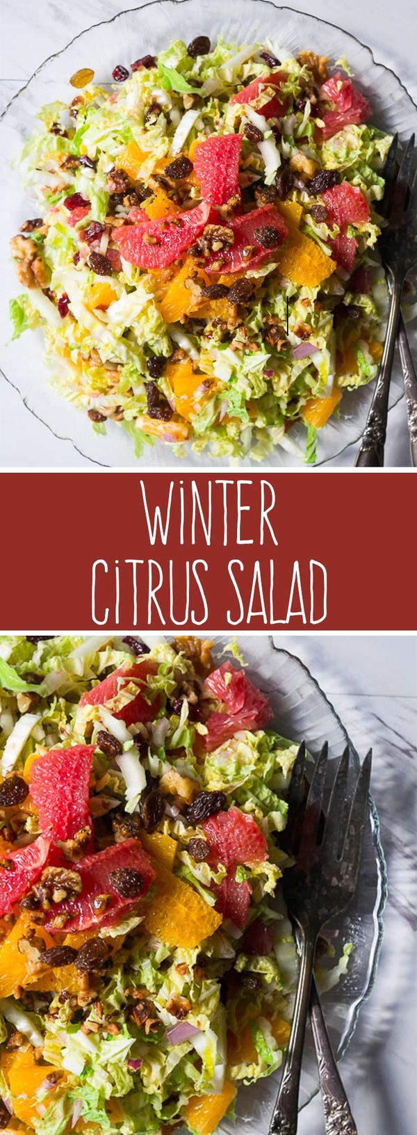 Citrus Salad with Dried Cranberries and Toasted Walnuts