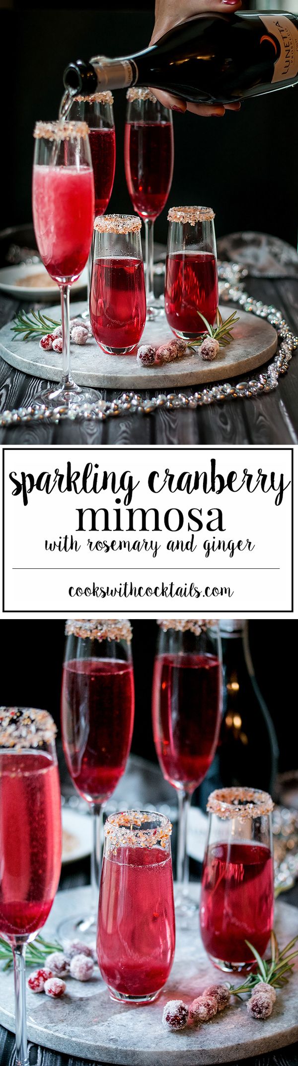 Cranberry Ginger Sparkling Holiday Cocktail