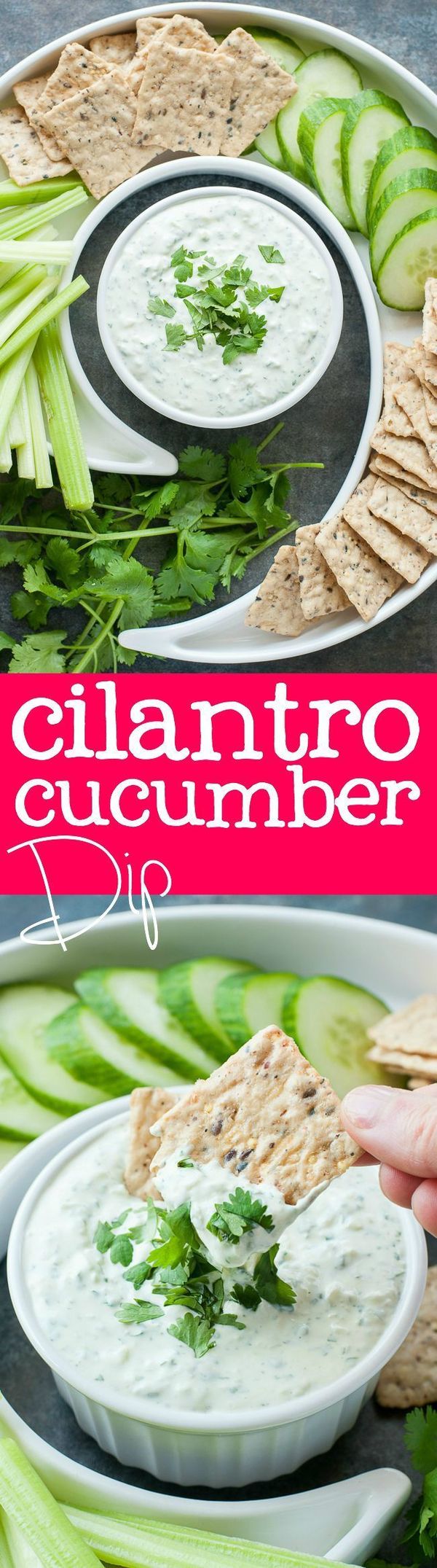 Creamy Cilantro Cucumber Dip