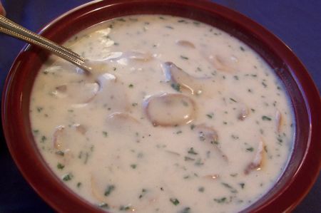 Crock Pot Cream of Mushroom Soup