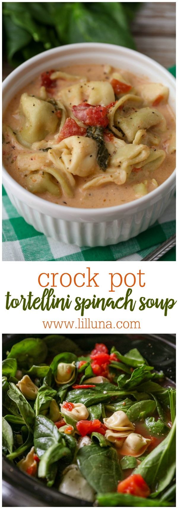 Crock Pot Tortellini Spinach Soup