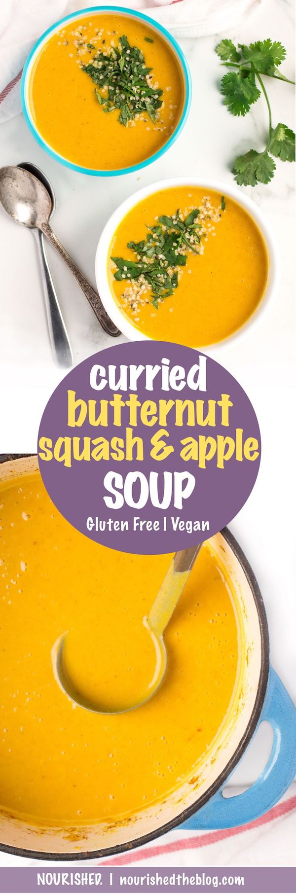 Curried Butternut Squash and Apple Soup