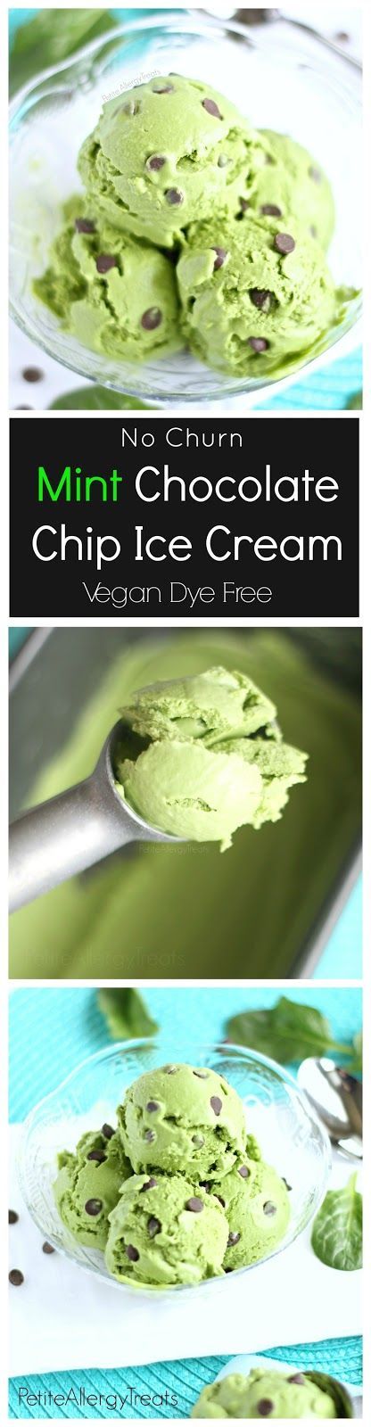 Dairy Free Vegan Mint Chocolate Chip Ice Cream (dye free