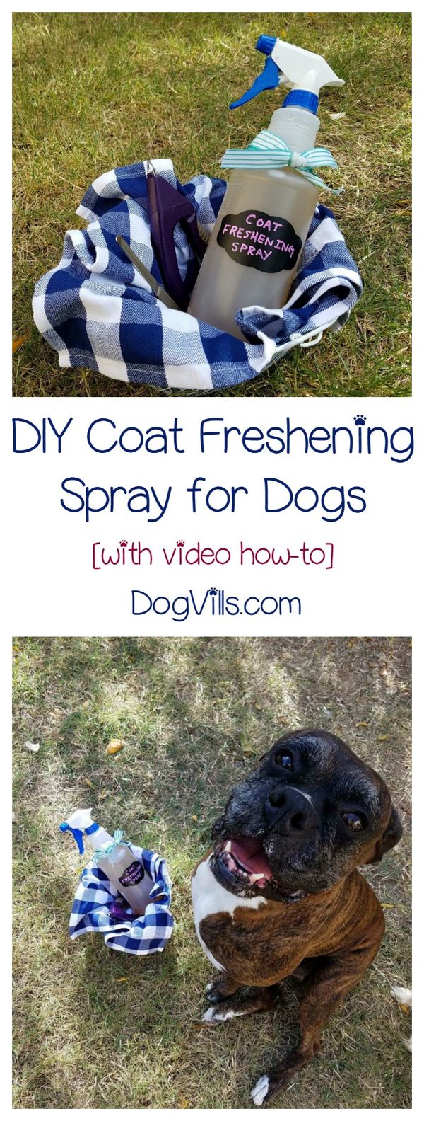 DIY Coat Freshening Spray for Dogs