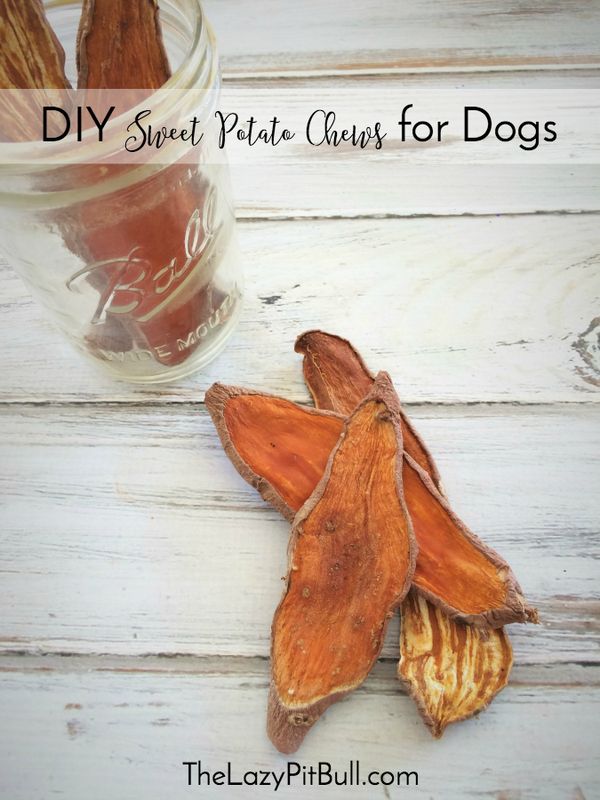 DIY Sweet Potato Chews for Dogs