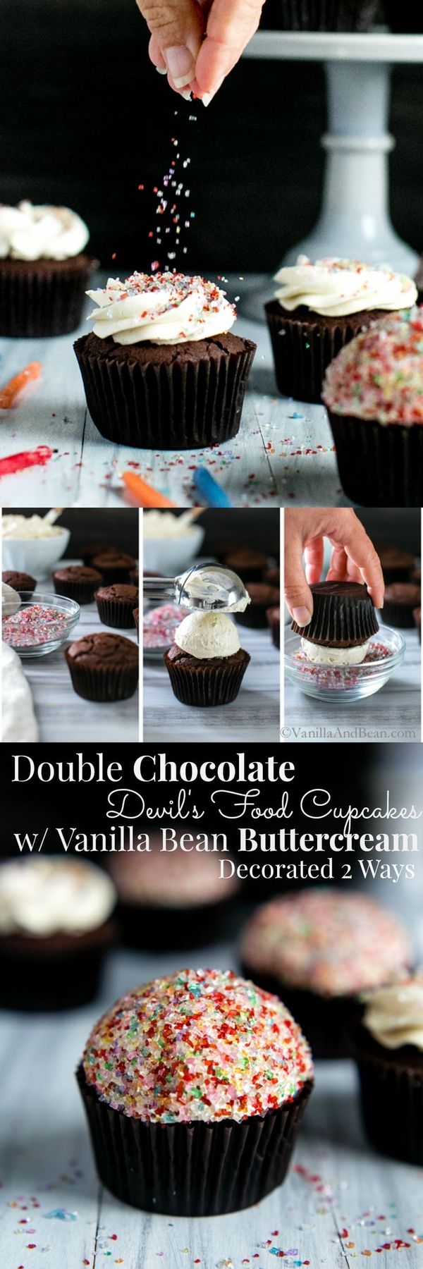 Double Chocolate Devil's Food Cupcakes with Vanilla Bean Buttercream