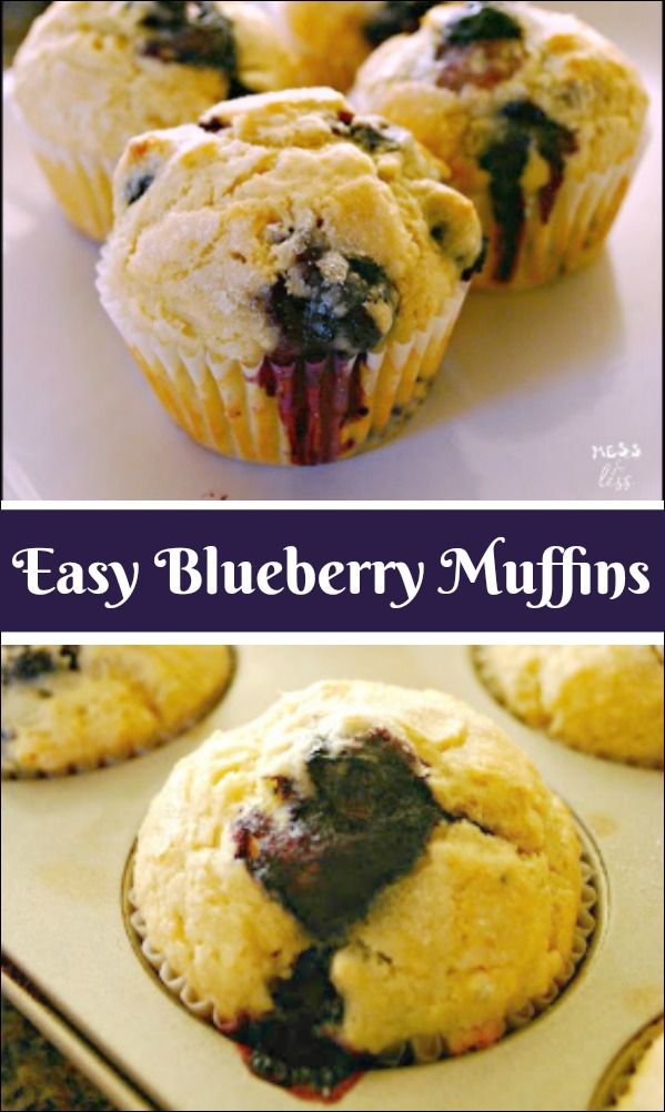 Easy Blueberry Muffins - Food Fun Friday