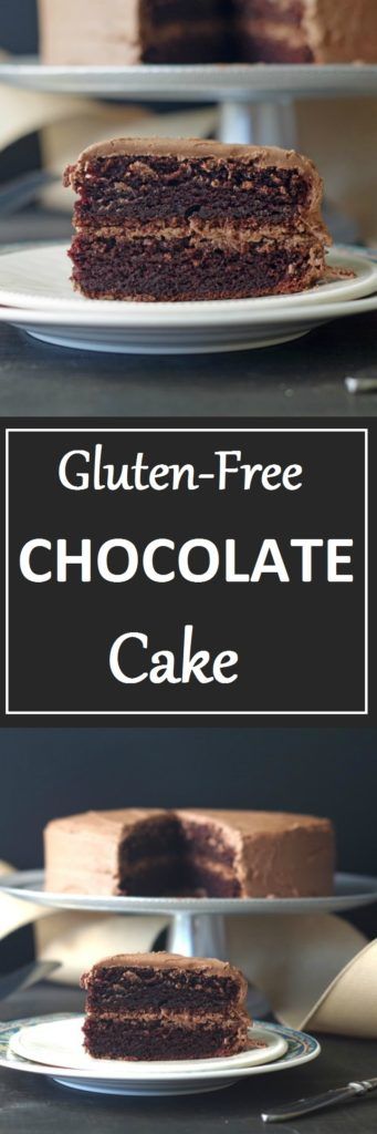 Easy Gluten-Free Chocolate Cake (11 Ingredients