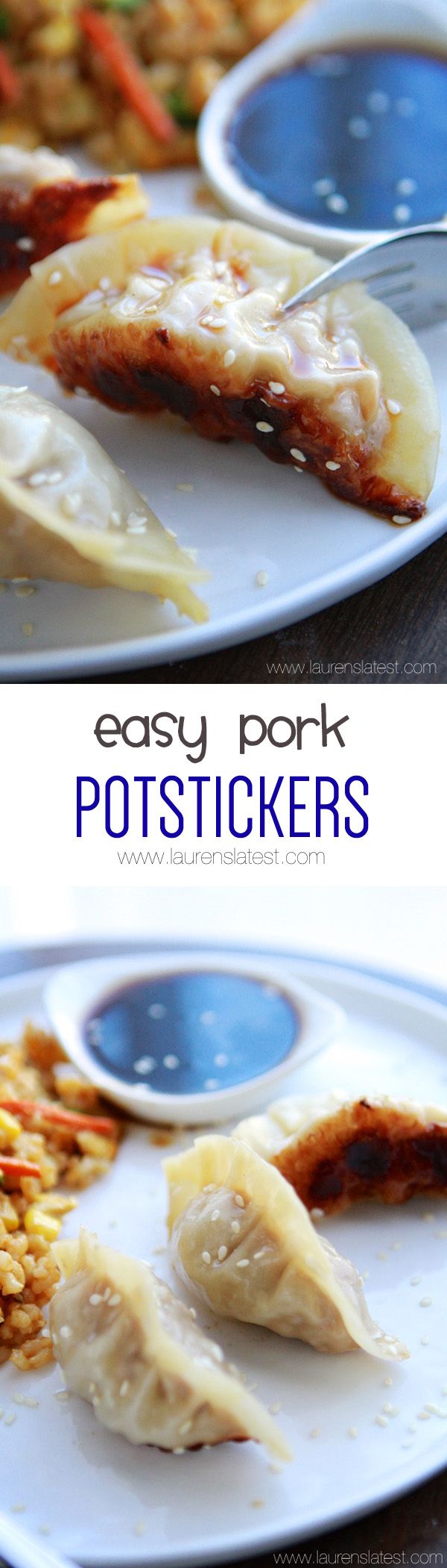 Easy Pork Potstickers