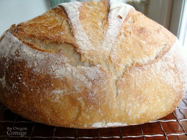 Easy Sourdough Artisan Bread