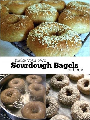 Easy Sourdough Bagels