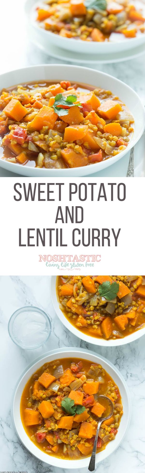 Easy Sweet Potato and Lentil Curry