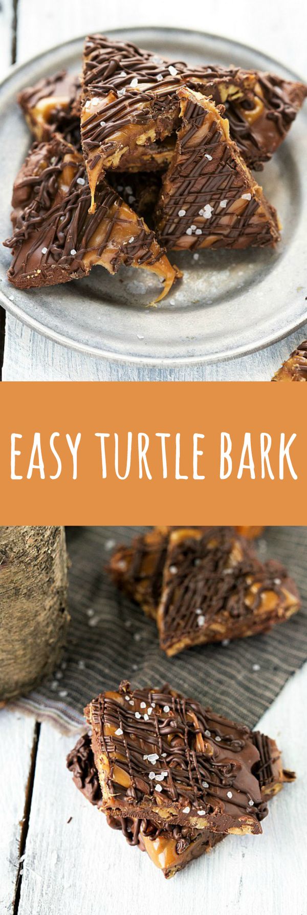 Easy Turtle Bark