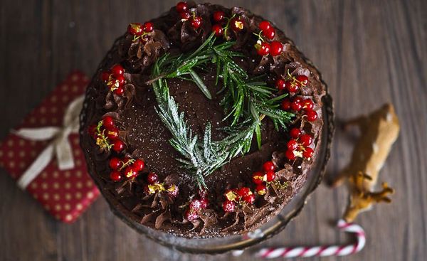 Elsa, The Amazing Red Wine Chocolate Cake for Christmas