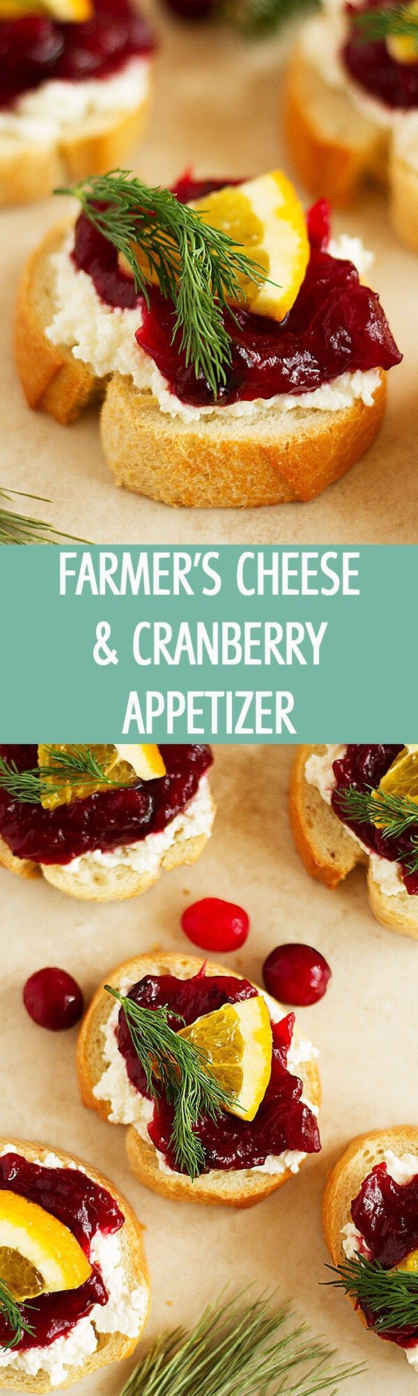 Farmer’s Cheese and Cranberry Appetizer