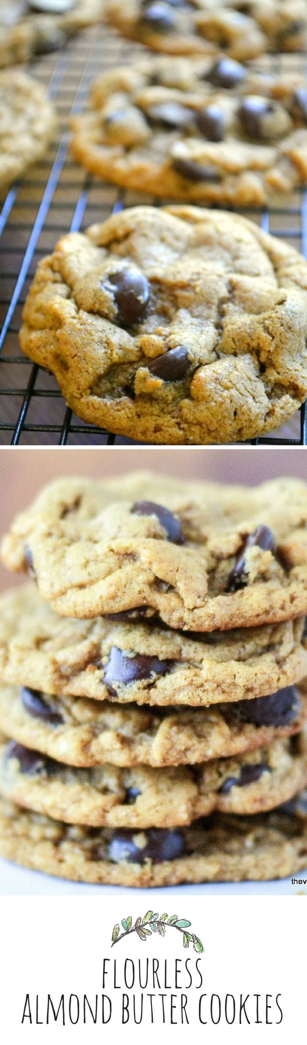 Flourless Almond Butter Chocolate Chip Cookies