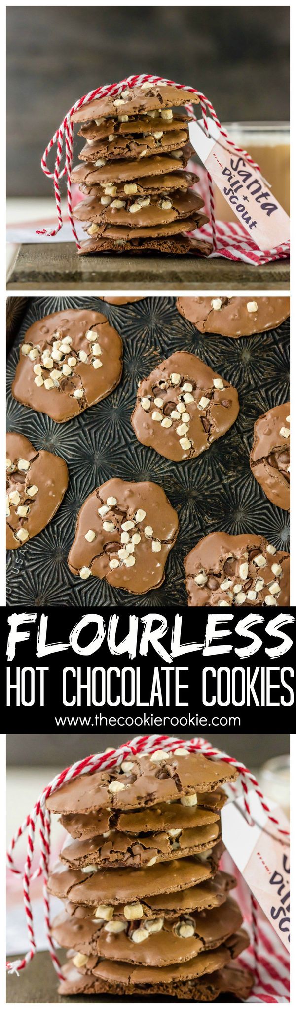 Flourless Hot Chocolate Cookies