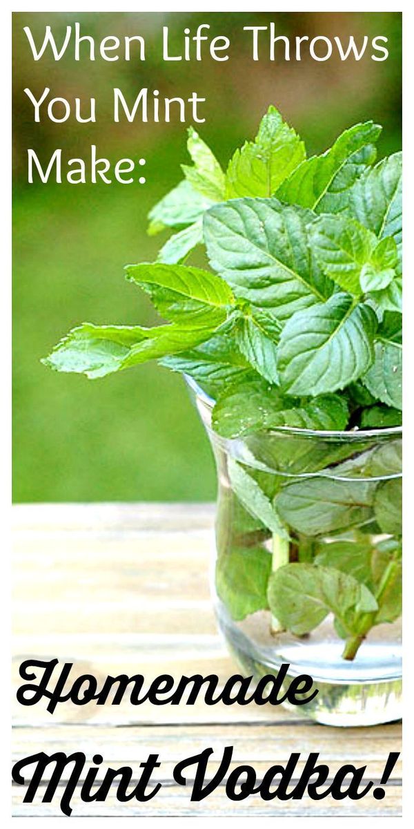 Fresh Mint Infused Vodka