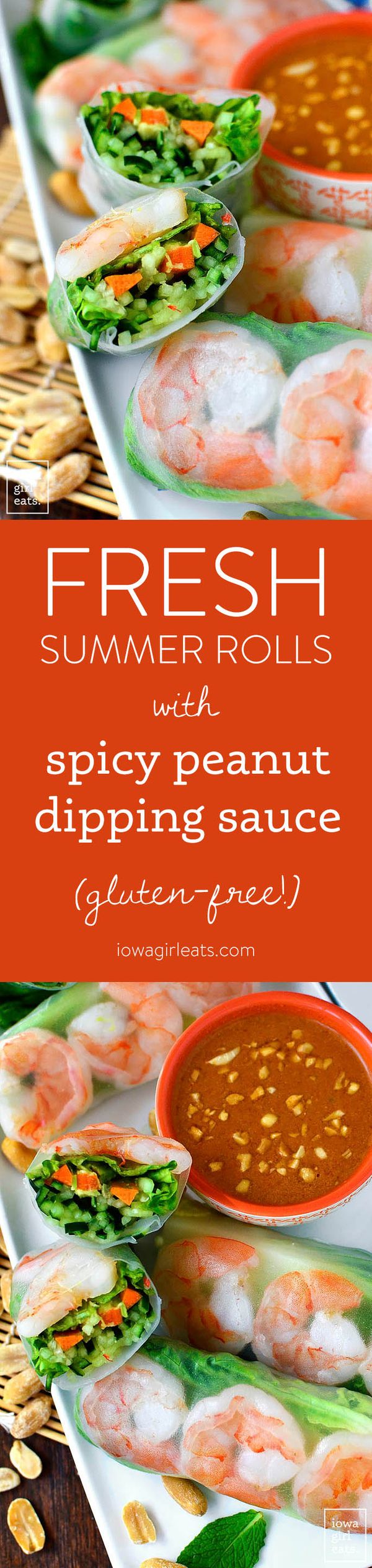 Fresh Summer Rolls with Spicy Peanut Dipping Sauce