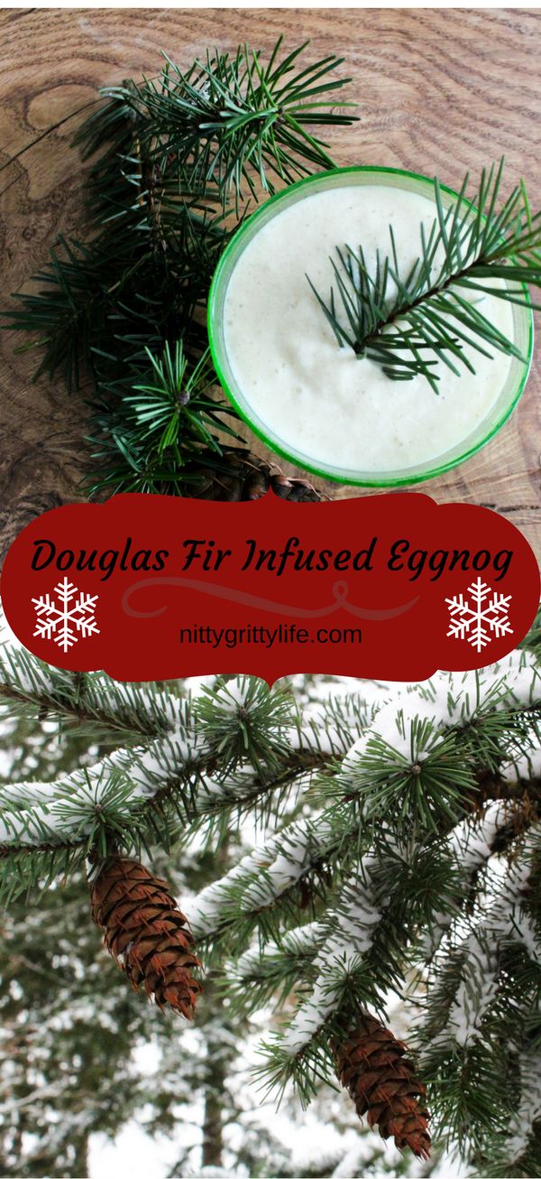 Frothy Douglas Fir Infused Eggnog