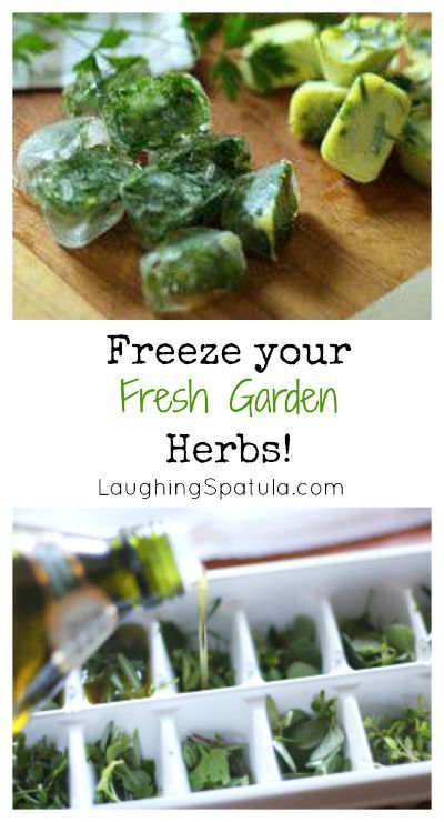 Frozen Herbs