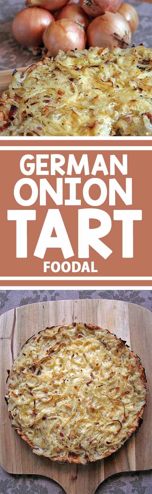 German Onion Tart