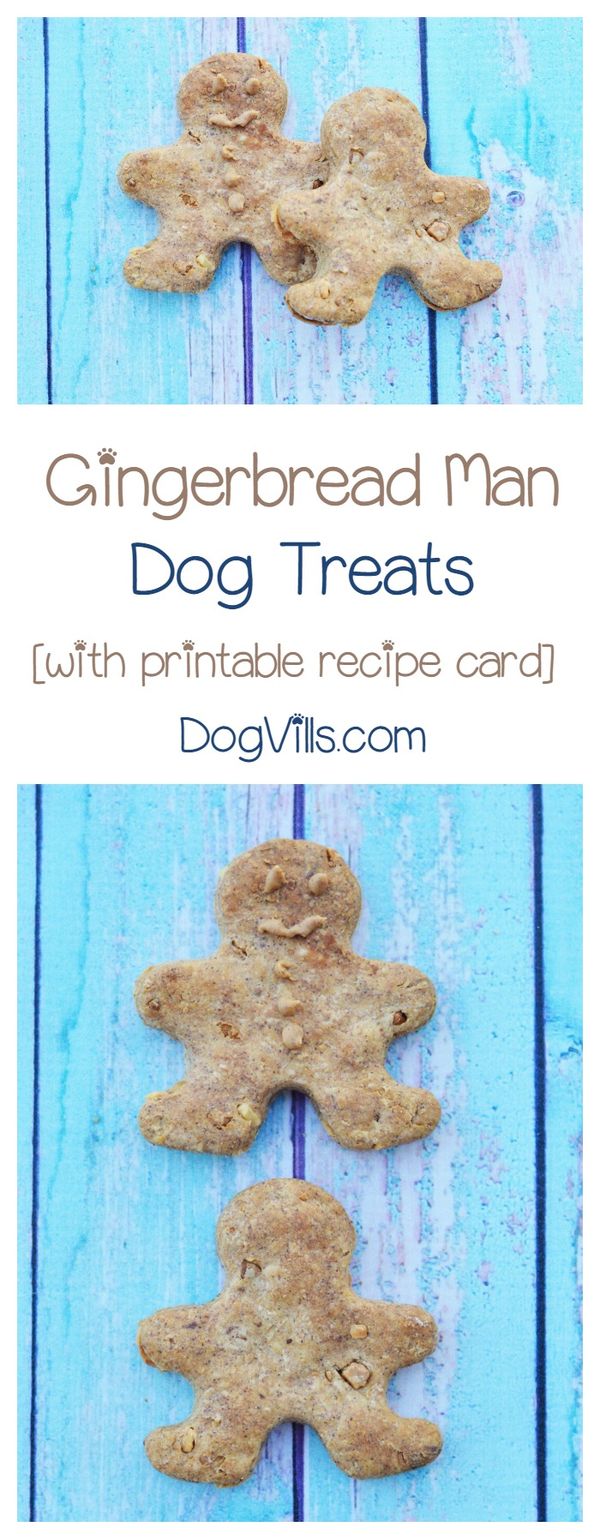 Gingerbread Man Dog Treats