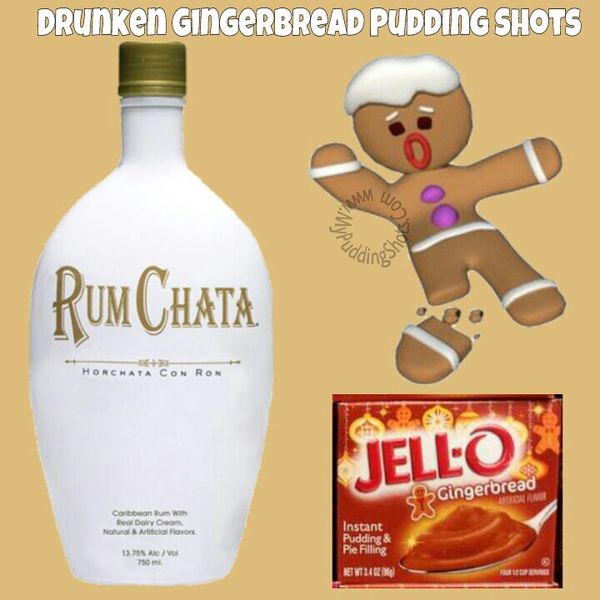 Gingerbread RumChata (Drunken Gingerbread Pudding Shots