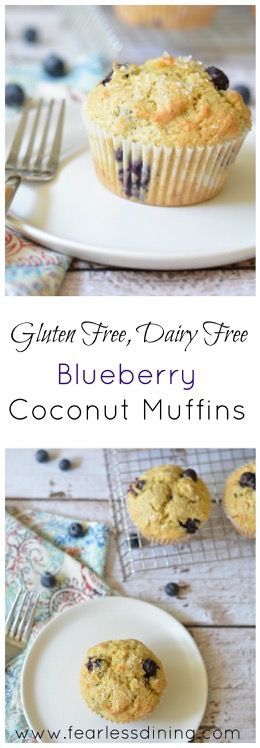 Gluten Free Blueberry Coconut Muffins