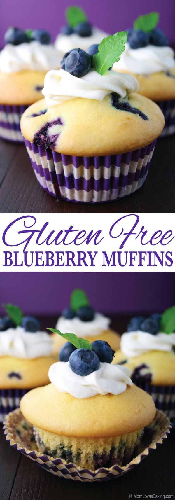 Gluten Free Blueberry Muffins