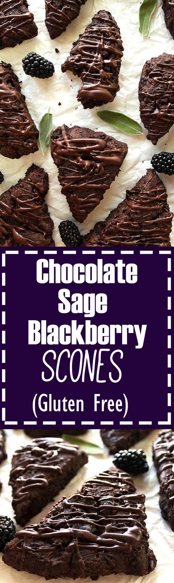 Gluten Free Chocolate Blackberry Sage Scones