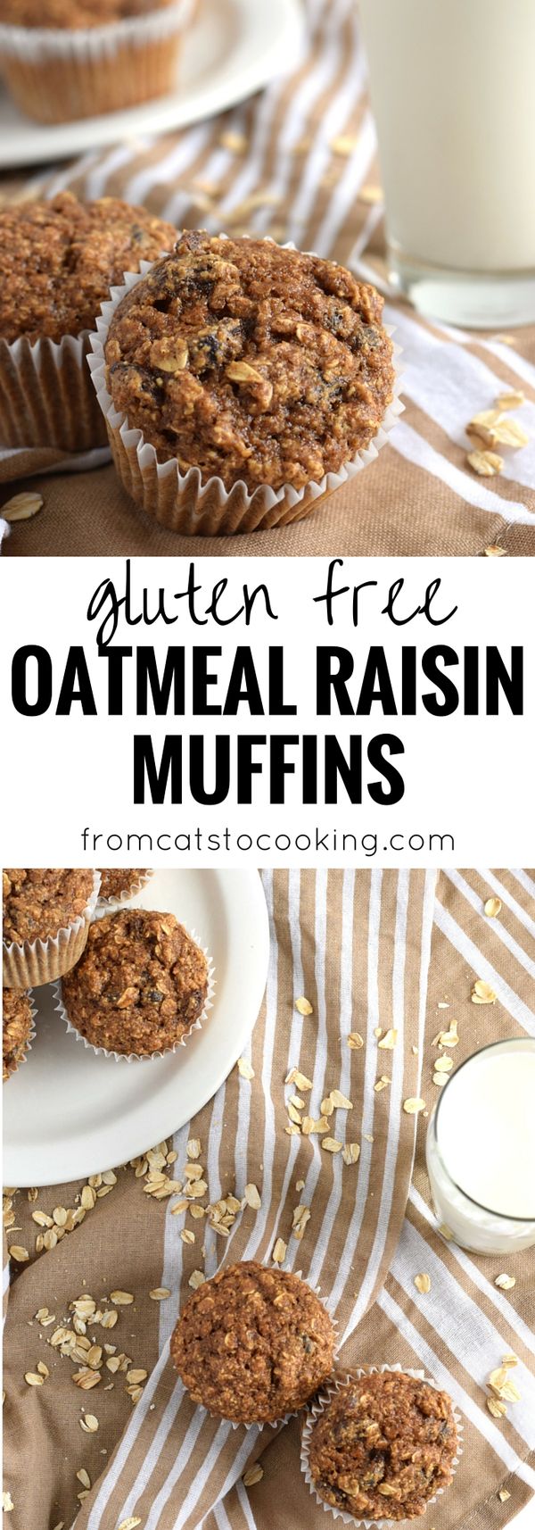 Gluten Free Oatmeal Raisin Muffins