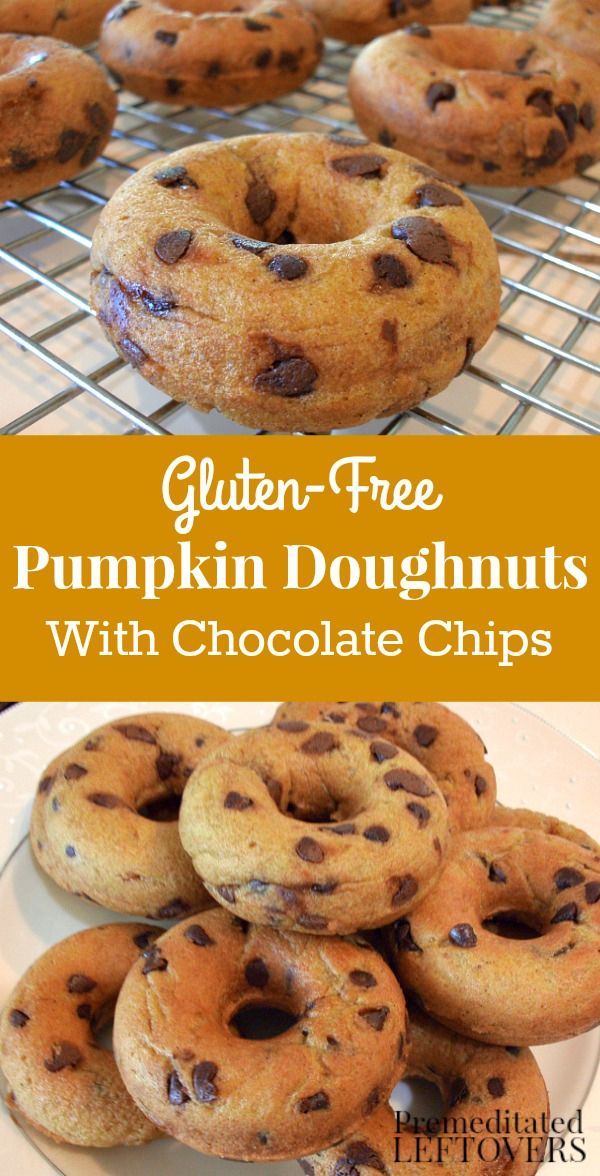 Gluten-Free Pumpkin Doughnuts Recipe with Chocolate Chips