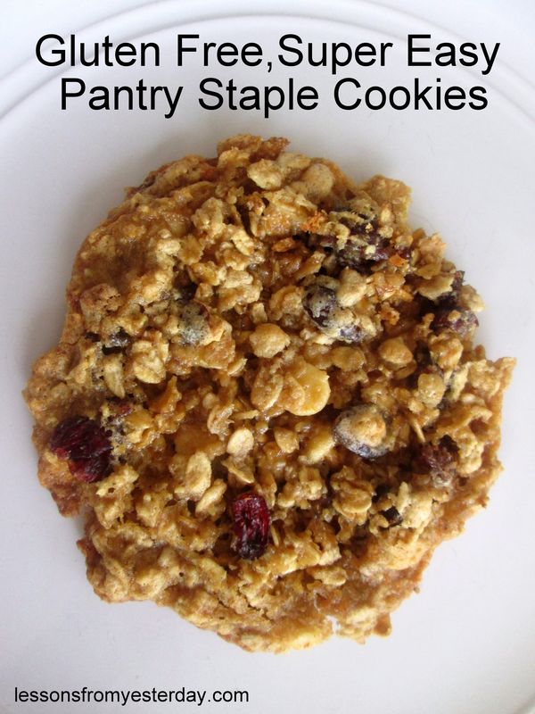 Gluten Free, Super Easy Pantry Staple Cookies