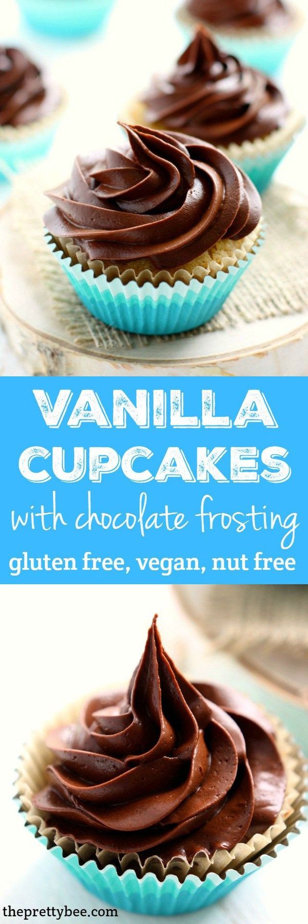 Gluten Free Vanilla Cupcakes with Chocolate Frosting