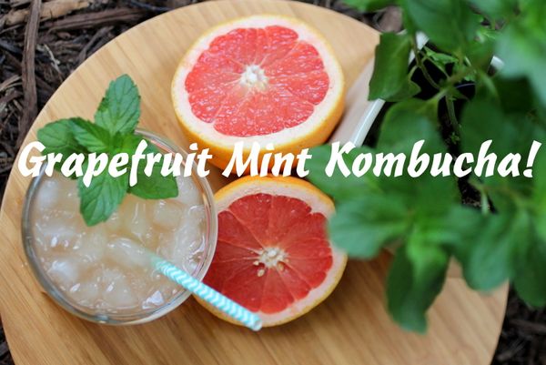 Grapefruit Mint Kombucha