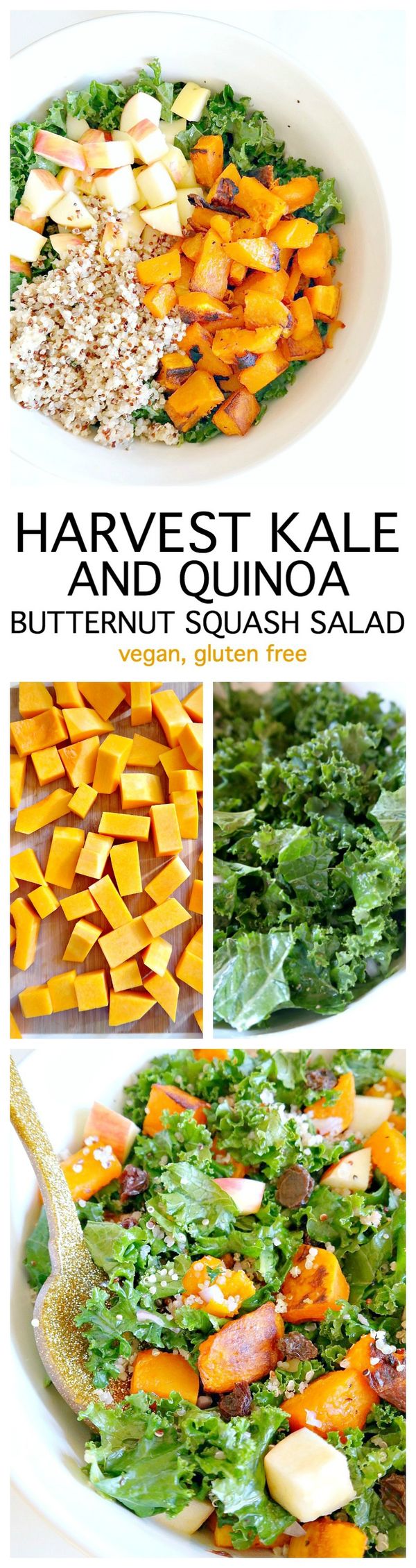 Harvest Kale and Quinoa Butternut Squash Salad