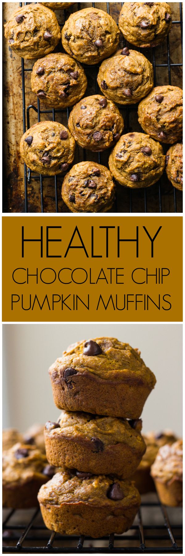 Healthy Chocolate Chip Pumpkin Muffins