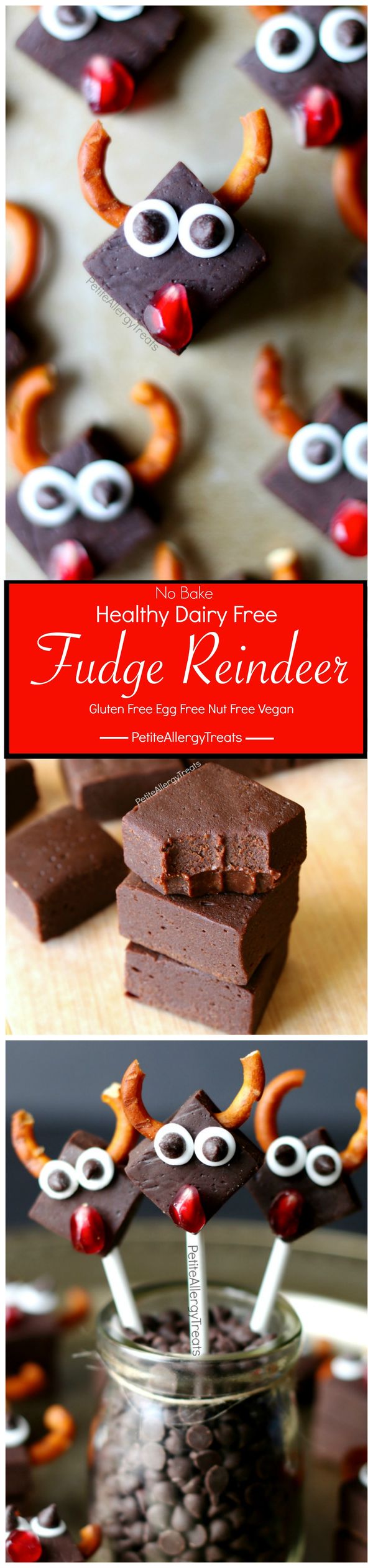 Healthy Dairy Free Fudge Reindeer