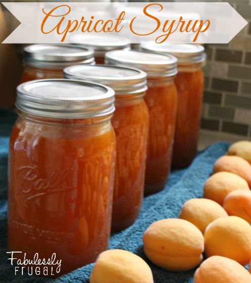 Homemade Apricot Syrup