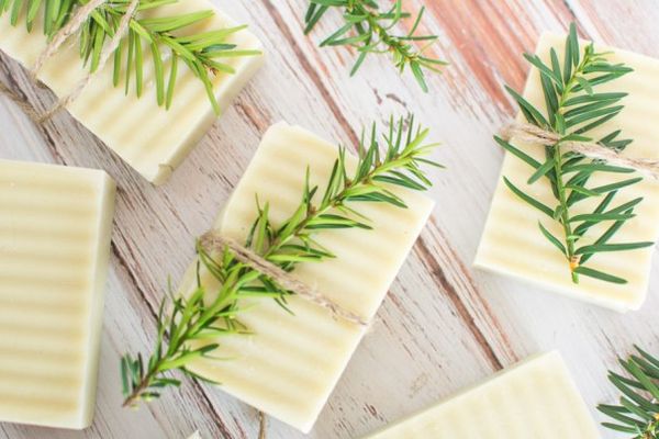 Homemade Bentonite Pine Soap