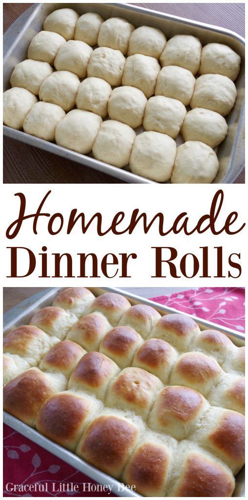 Homemade Dinner Rolls