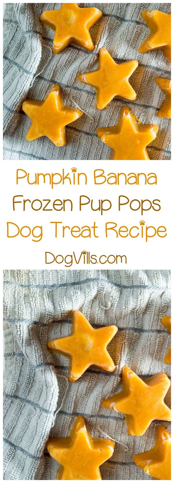 Homemade Frozen Pumpkin Banana Pup Pops Hypoallergenic Dog Treat