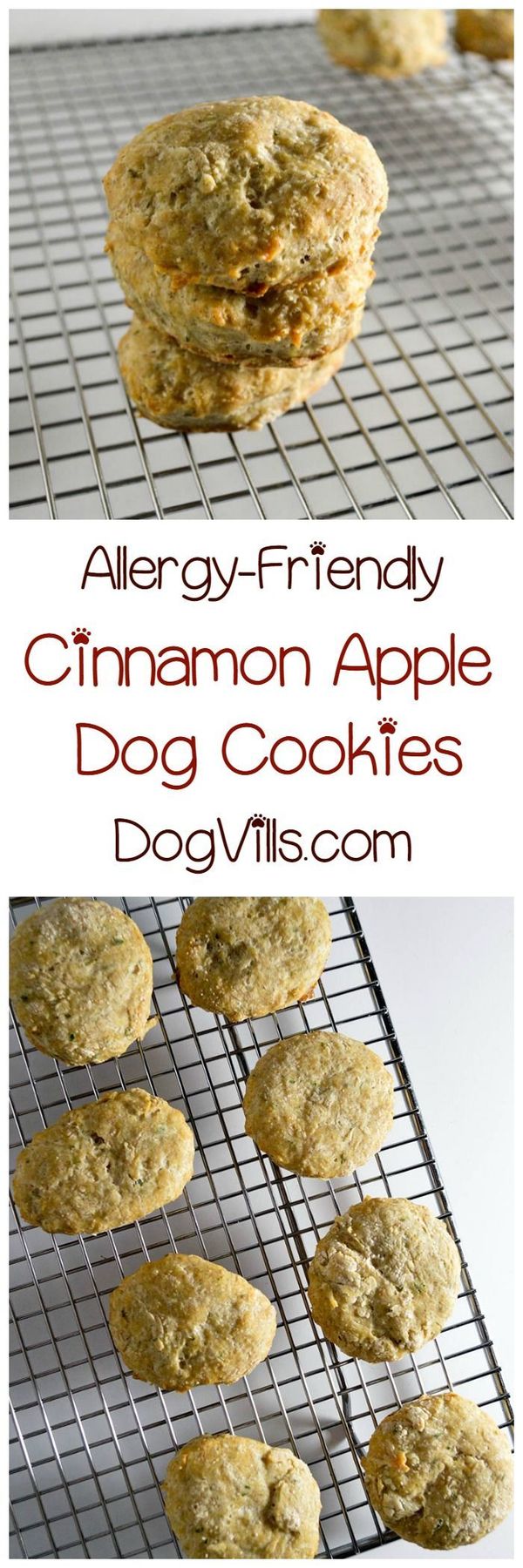 Homemade Hypoallergenic Apple Cinnamon Dog Cookies