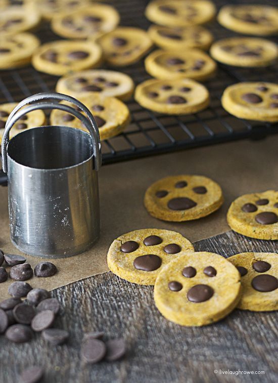 Homemade Paw Print Dog Treats