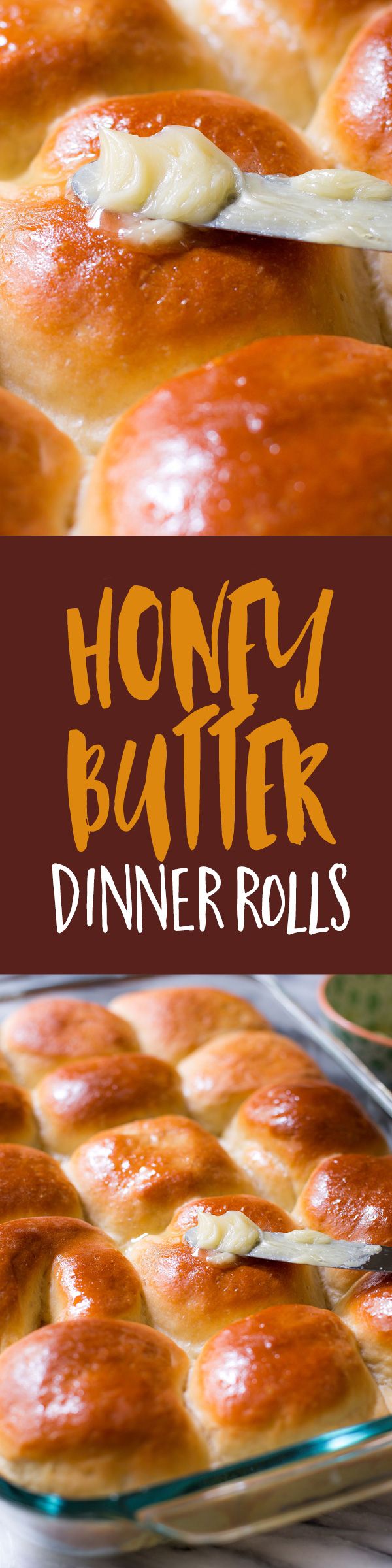 Honey Butter Dinner Rolls