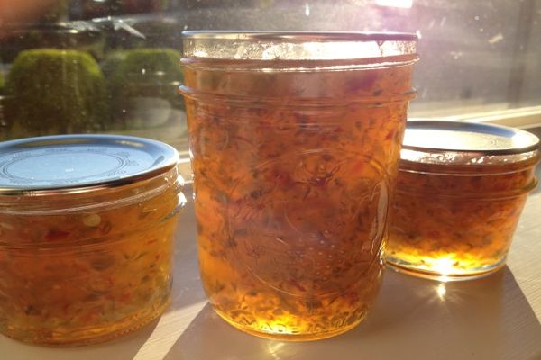 Hot Pepper Garlic Jelly