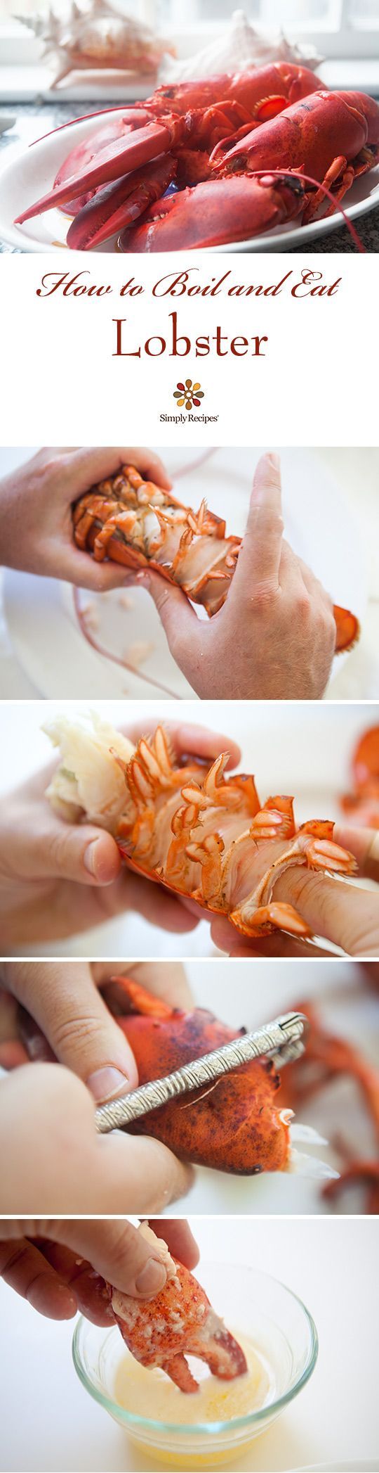 How to Boil and Eat Lobster