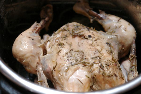 Instant Pot Whole (Frozen Chicken